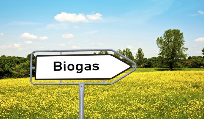 È necessario rimuovere gli ostacoli che frenano il decollo del biometano agricolo