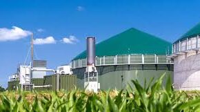 Biogas, Italia leader in Europa con 1.600 impianti attivi
