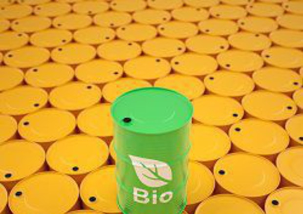 Biocarburanti, le indicazioni sulla nuova quota d’obbligo