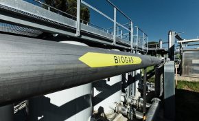 Biogas e biometano per la transizione energetica