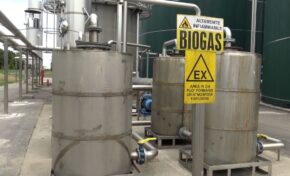 Il governo comunica di aver avviato un “supplemento di valutazione” sui meccanismi di incentivazione del biometano da rifiuti organici previsti dallo schema di decreto ministeriale inviato a Bruxelles